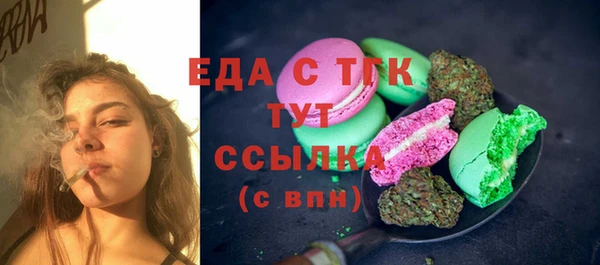 твердый Бородино