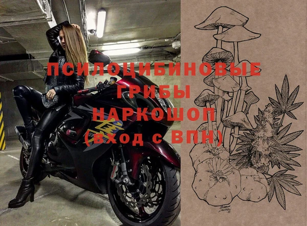 твердый Бородино
