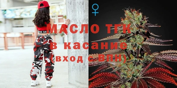 твердый Бородино
