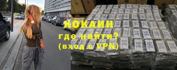 твердый Бородино