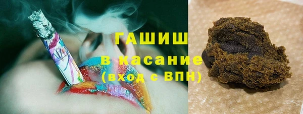 твердый Бородино