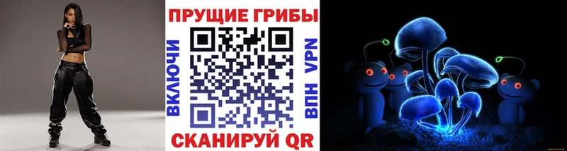 где найти наркотики  Новохопёрск  Псилоцибиновые грибы Cubensis 